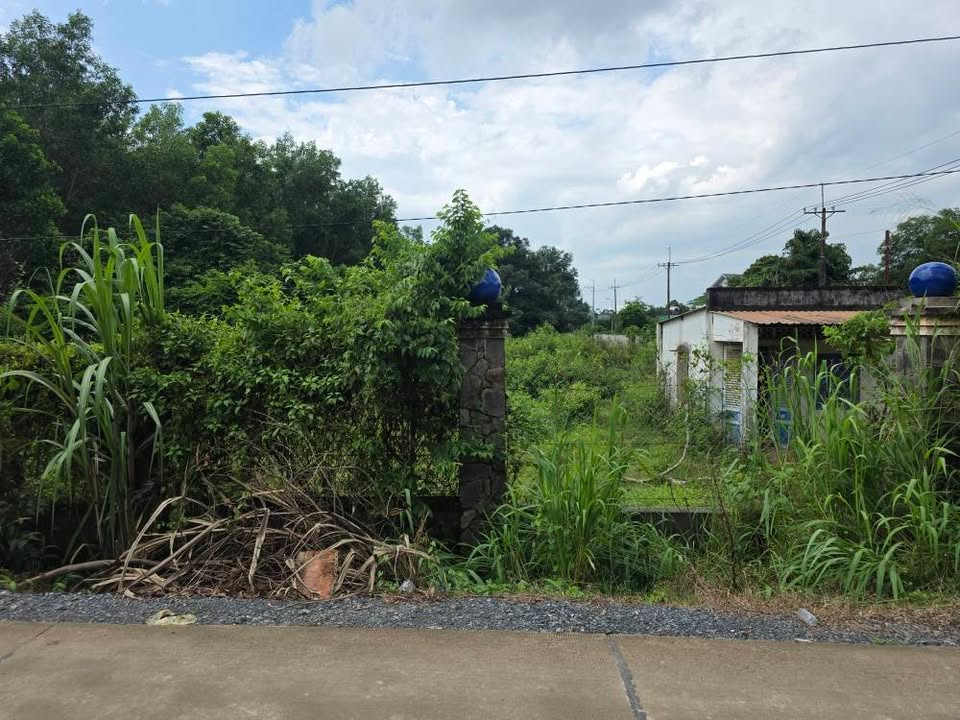 Đất nền Củ Chi 1000m² giá thỏa thuận - Mặt tiền 120m, đầu tư sinh lời!