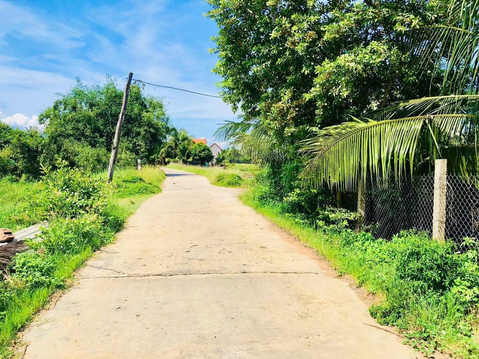 Đất thổ cư Ninh Điền, Ninh Thọ, 350m² giá 1.35 tỷ - Đầu tư sinh lời ngay!