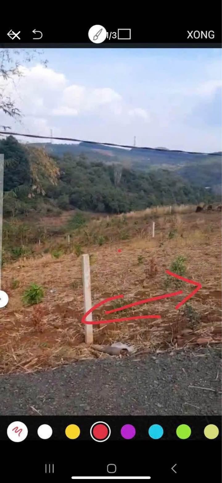 Đất nền 1000m² tại xã Quảng Tân, Tuy Đức - Giá chỉ 160 triệu, sổ đỏ chính chủ!