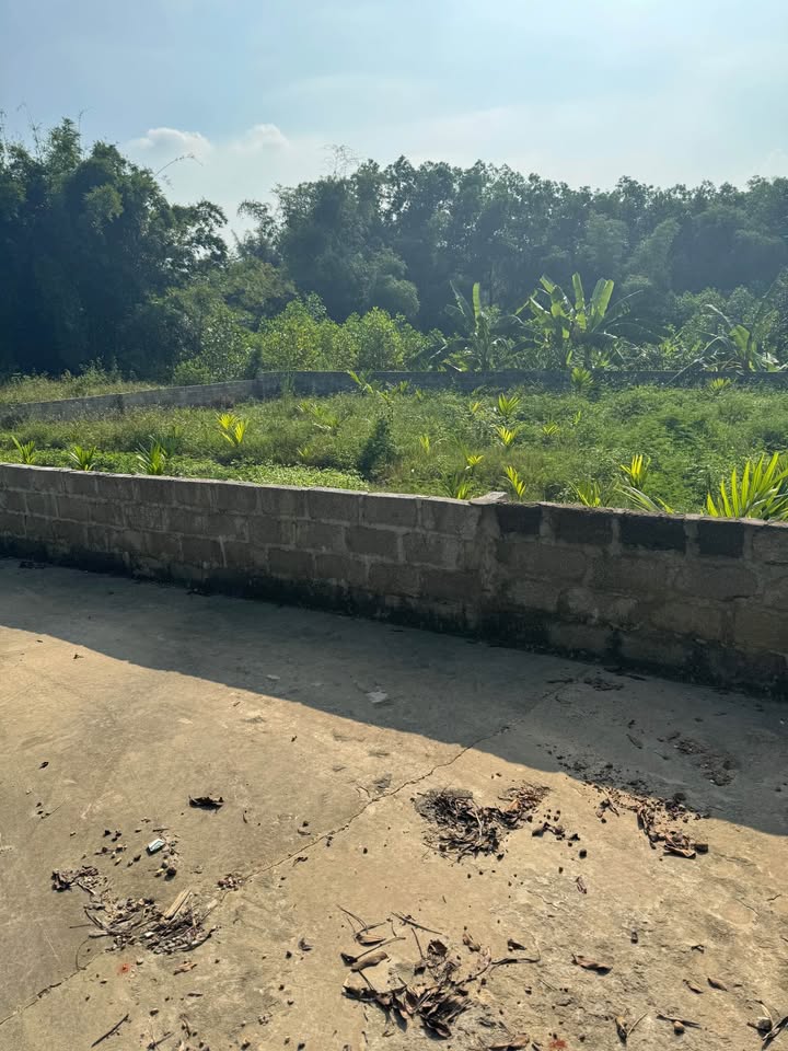 Đất chính chủ xã Phúc Trìu 433.5m² giá 1.3 tỷ - Gần sân vận động Thái Nguyên!