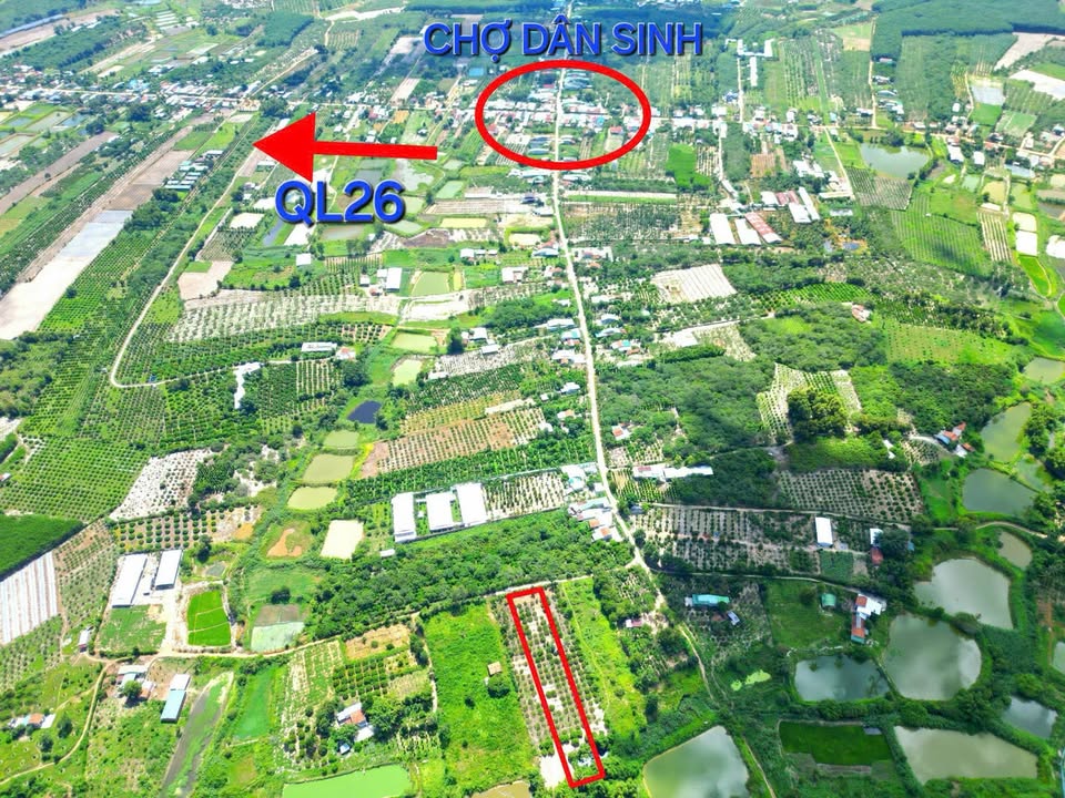 Đất nền 800m² xã Ea Tih - Sổ đỏ chính chủ chỉ 250 triệu