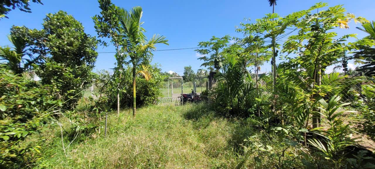 Đất ở Hẻm 416 Nguyễn Trãi 100m² giá thỏa thuận - Đầu tư sinh lời ngay!