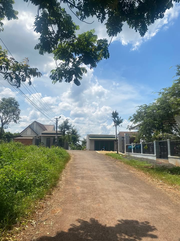 Đất lô góc 2 mặt tiền đường A1, xã Cư Êbur, 105m² giá 1.4 tỷ - Đầu tư sinh lời ngay!