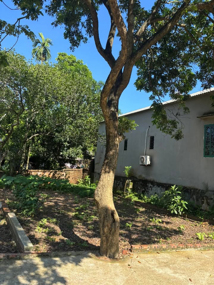 Đất Lại Thượng Thạch Thất 100m² giá 2.1 tỷ - Cơ hội đầu tư hấp dẫn!