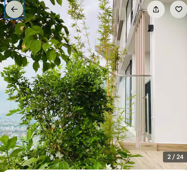 Căn hộ Solforest So2 Văn Giang 2PN giá 12 triệu - View thoáng, đầy đủ nội thất!