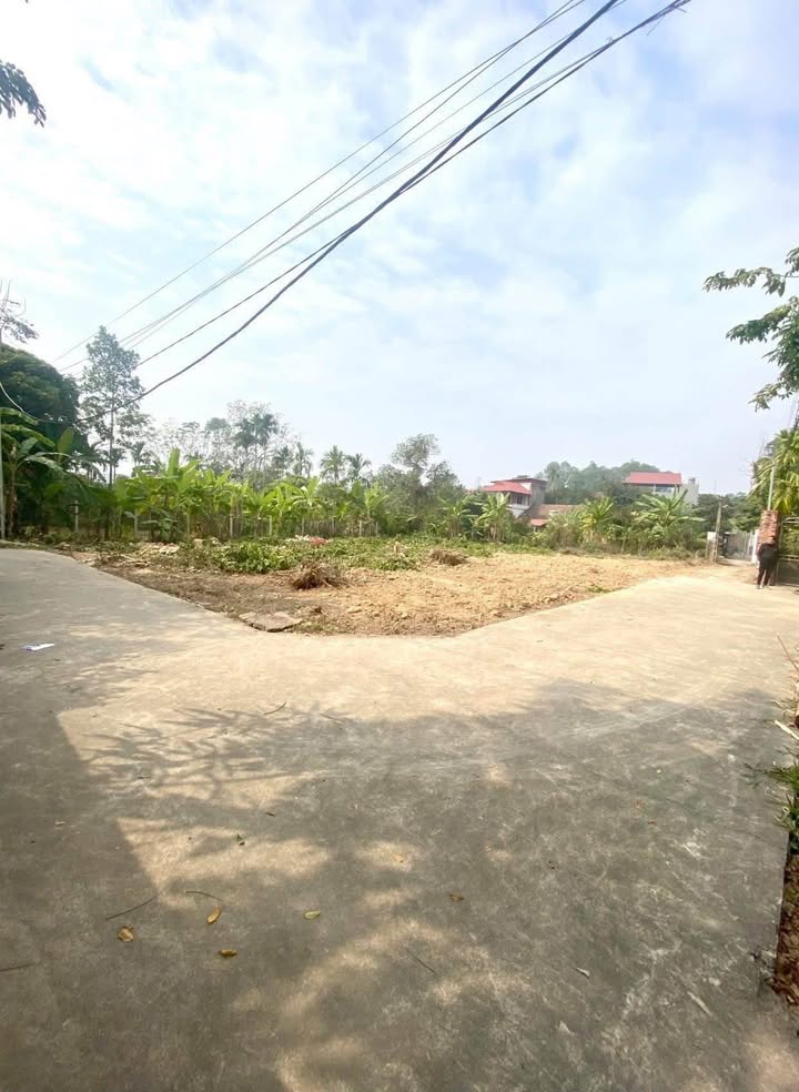 Đất vườn 800m² tại Song Vân, Tân Yên - Giá chỉ 2 tỷ - Đầu tư lý tưởng!