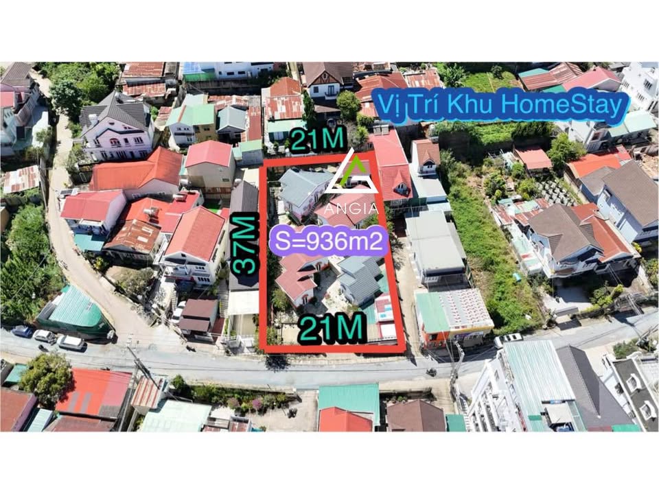 Homestay Mặt Tiền Trạng Trình Đà Lạt 937m² giá 57 tỷ - Cơ hội đầu tư hấp dẫn!