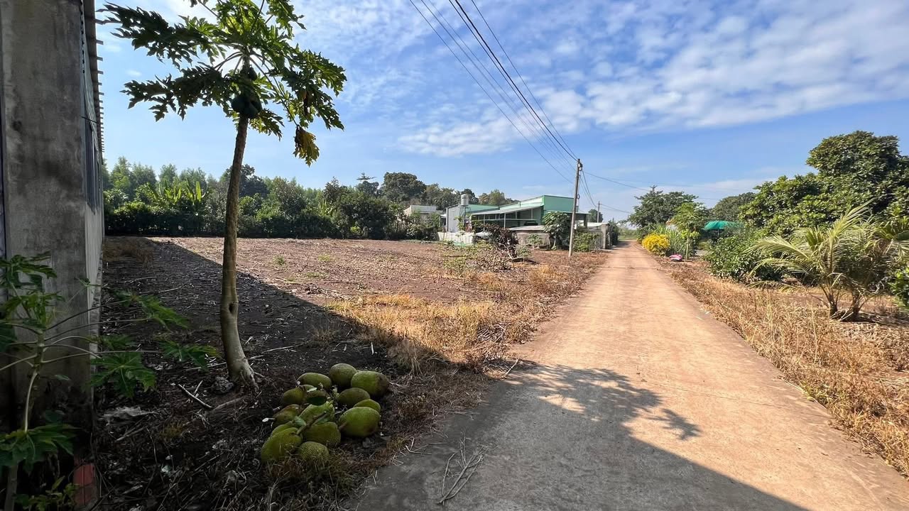 Đất nền Ấp 8 xã Thừa Đức 1000m² giá 2 tỷ - Mặt tiền 32m, cơ hội đầu tư tốt!