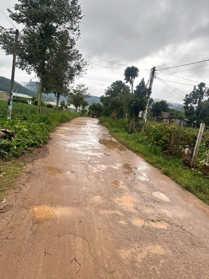 Đất nền Quảng Lập - Đơn Dương 144m² giá chỉ 515 triệu - Đầu tư sinh lời ngay!