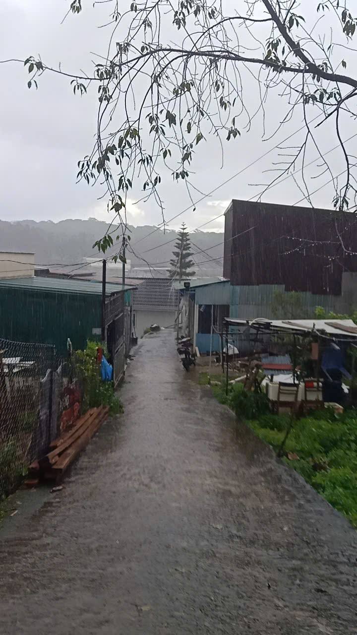 Đất nền phường 9 Đà Lạt 150m² giá 1.6 tỷ - Đường ô tô thuận tiện!