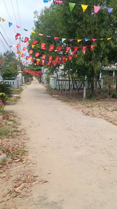 Đất nền mặt tiền đường Thanh Niên, Tam Tiến 385m² giá 2.3 tỷ - Cơ hội đầu tư tuyệt vời!