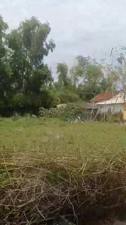 Đất nền Tam Phú 201.6m² giá 600 triệu - Gần sân bóng Lê Sang!