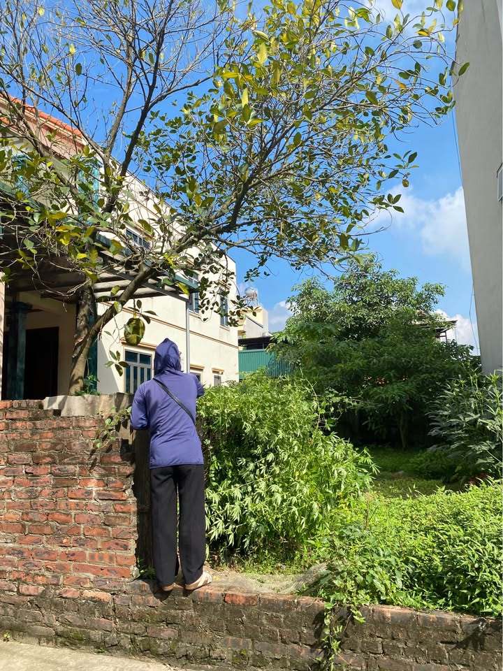 Đất lô góc Mai Đình, Sóc Sơn 70m² giá 3 tỷ - Đường ô tô vào tận nơi!