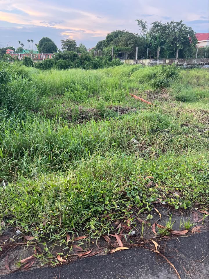 Đất nền mặt tiền đường Út An, Đức Hòa, Long An 115m² giá 1.46 tỷ - Cơ hội đầu tư tốt!