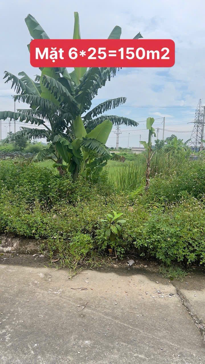 Đất khu dân cư Nam Trần Nhân Tông 150m² giá 4.2 tỷ - Đối diện học viện bóng đá!