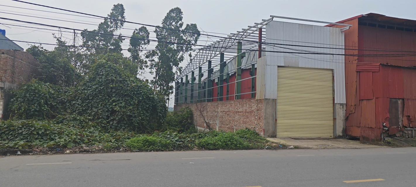 Đất nền mặt đường 286, Yên Phong 135m² giá 6.75 tỷ - Đầu tư sinh lời lý tưởng!