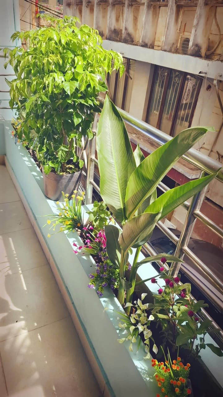 Studio ban công tách bếp Đồ Sơn 30m² - Full nội thất xinh xắn, giá thỏa thuận!