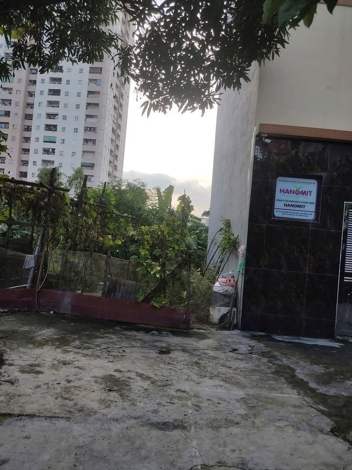 Đất Cổ Linh Long Biên 34m² giá 5.3 tỷ - Vị trí đắc địa gần AEON