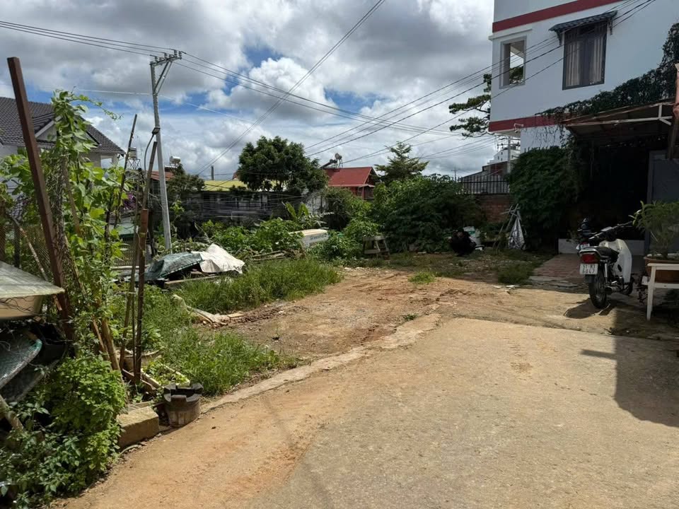 Nhà nguyên căn Đà Lạt đường Huyền Trân Công Chúa giá 5 triệu - Cơ hội thuê lý tưởng!