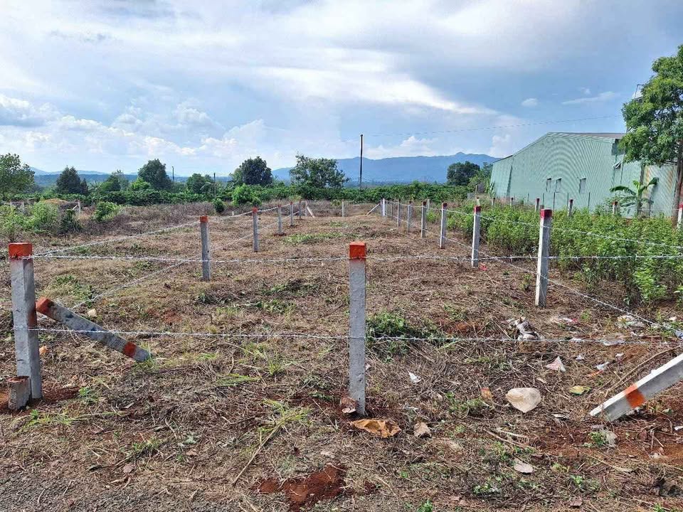 Đất nền Hẻm 412 Trường Sơn 290m² giá chỉ 320 triệu - Cơ hội đầu tư tuyệt vời!