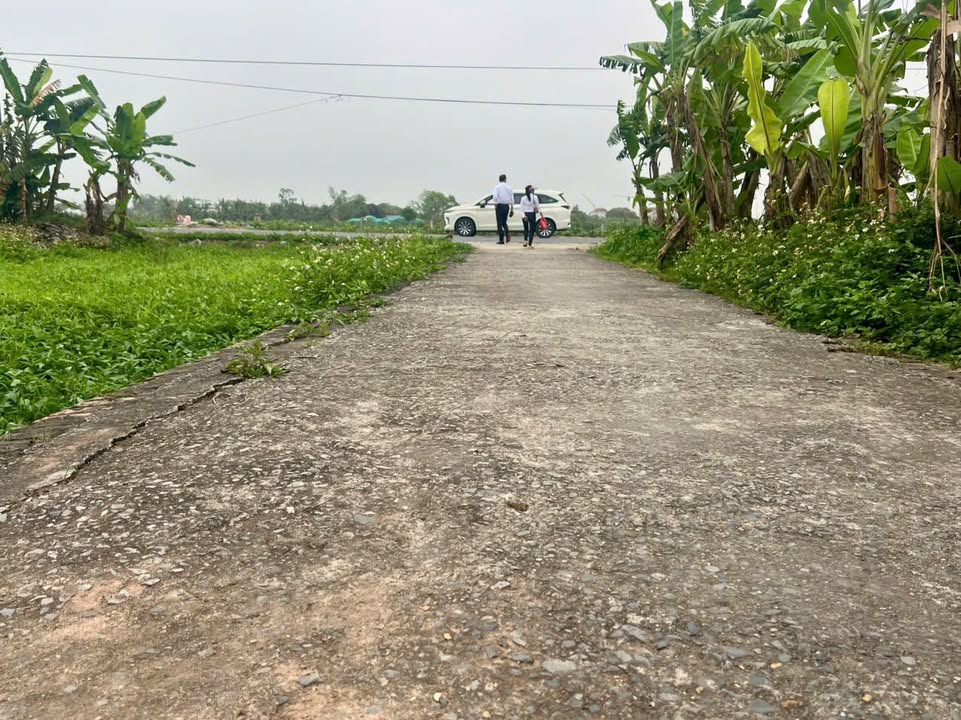 Đất nền Tiền Hải 100m² giá 700 triệu - Cơ hội hiếm có từ chính chủ!