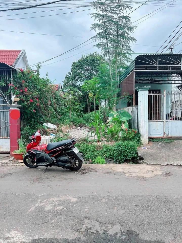 Đất mặt tiền Đặng Văn Ngữ, Ea Tam, 132m², giá 3.05 tỷ - Đầu tư sinh lời ngay!