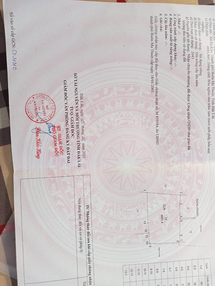 Đất xào chính chủ Ea Kao 8 xào - Cơ hội đầu tư sinh lời!