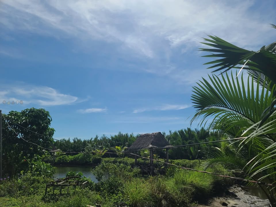 Đất nền Cẩm Thanh Hội An 400m² giá 6.2 tỷ - Cơ hội đầu tư tuyệt vời!