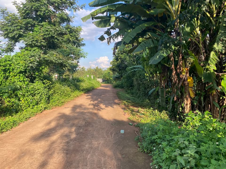 Đất nền Buôn Ma Thuột 144m² giá 900 triệu - Cơ hội đầu tư hấp dẫn!