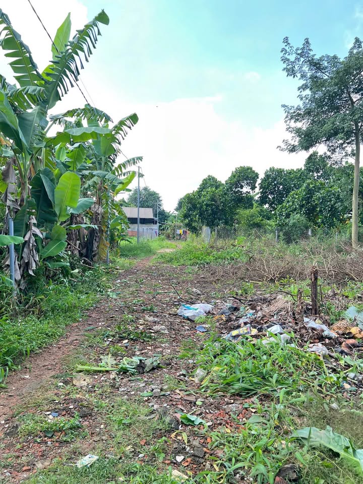 Đất nền Bảo Vinh Long Khánh 100m² giá chỉ 850 triệu - Đầu tư sinh lời ngay!