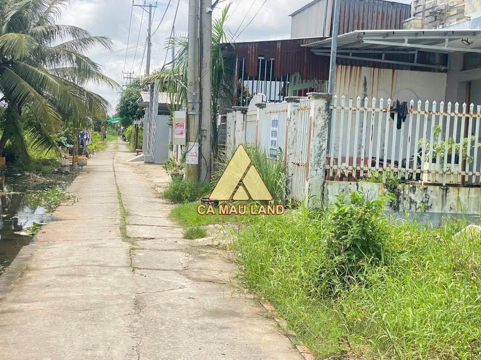 Đất nền Cà Mau 1320m² giá chỉ 3.2 tỷ - Sổ hồng riêng, vị trí đẹp!