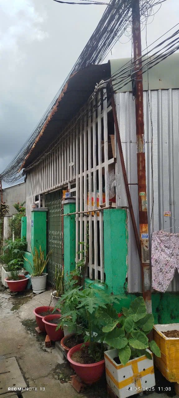 Nhà 1 trệt KĐT The Sol City, Cần Giuộc 80m² giá 1.6 tỷ - Sẵn sàng vào ở ngay!