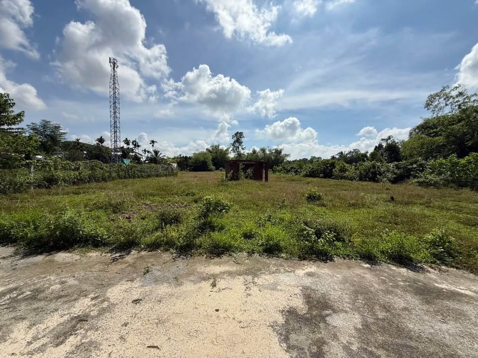 Đất ở Hòa Phú - Hòa Vang 350m² giá 1.55 tỷ - Tiềm năng phát triển cao!