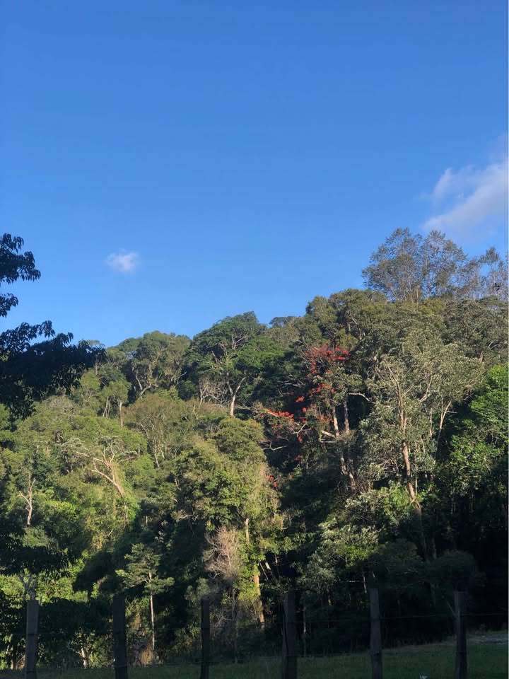 Đất du lịch Sơn Lang Kbang 3600m² - Vị trí đắc địa gần Thác K50