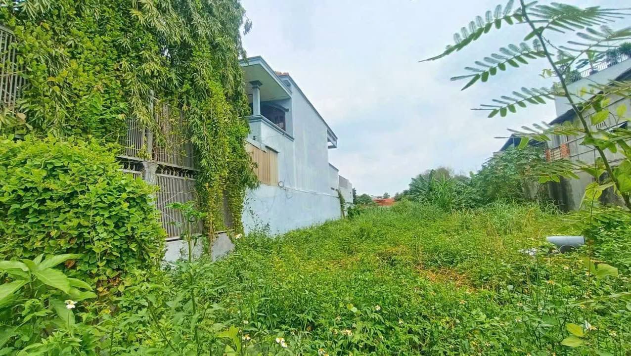 Đất mặt tiền Tân Hiệp Hóc Môn 5680m² giá 56 tỷ - Cơ hội đầu tư hiếm có!