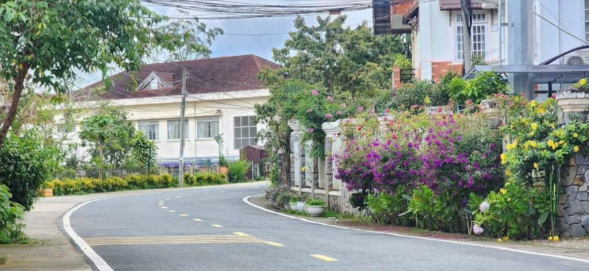 Lô đất mặt tiền 226m² Phạm Ngọc Thạch Đà Lạt - Giá 15 tỷ, cơ hội đầu tư tuyệt vời!
