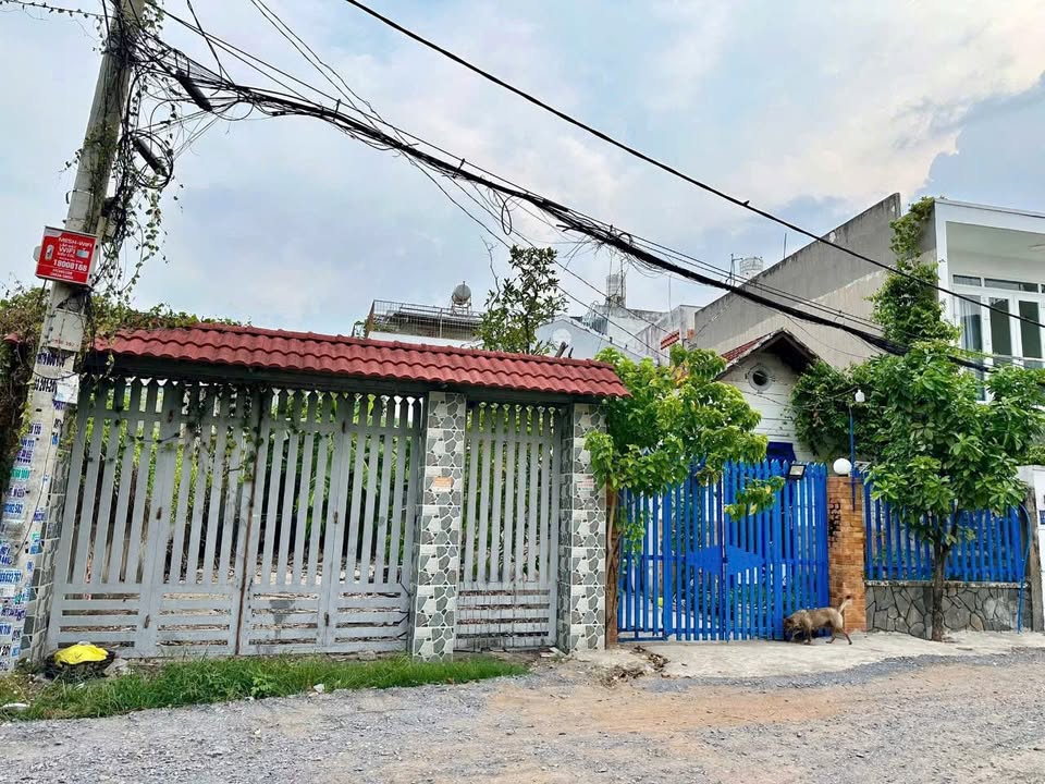 Đất nền Thạnh Xuân 43, Quận 12, 117m² giá 4.3 tỷ - Đầu tư sinh lời ngay!