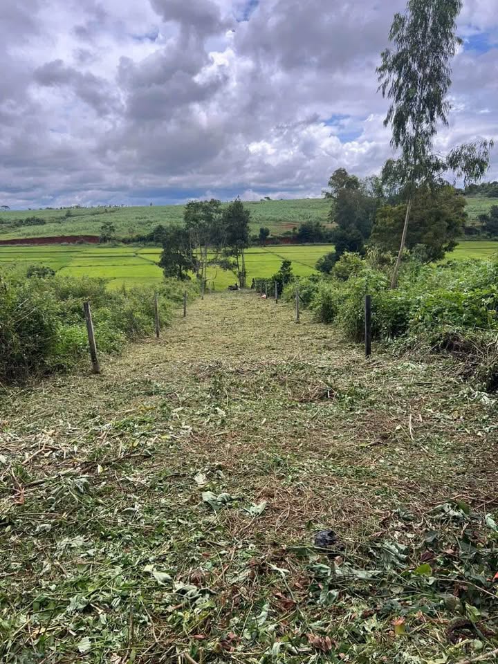 Đất mặt tiền Đặng Thùy Trâm, Pleiku 420m² giá chỉ 21 tỷ - Vị trí tuyệt đẹp!