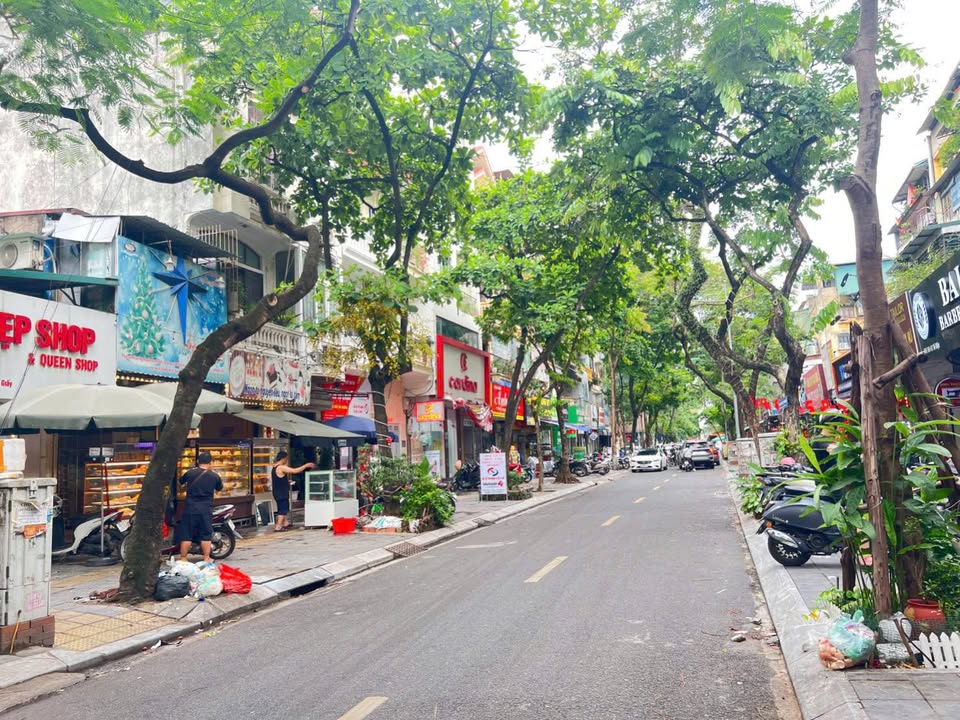 Nhà phố Linh Lang, Ba Đình 89m² giá 44 tỷ - Đầu tư sinh lời tại vị trí đắc địa!