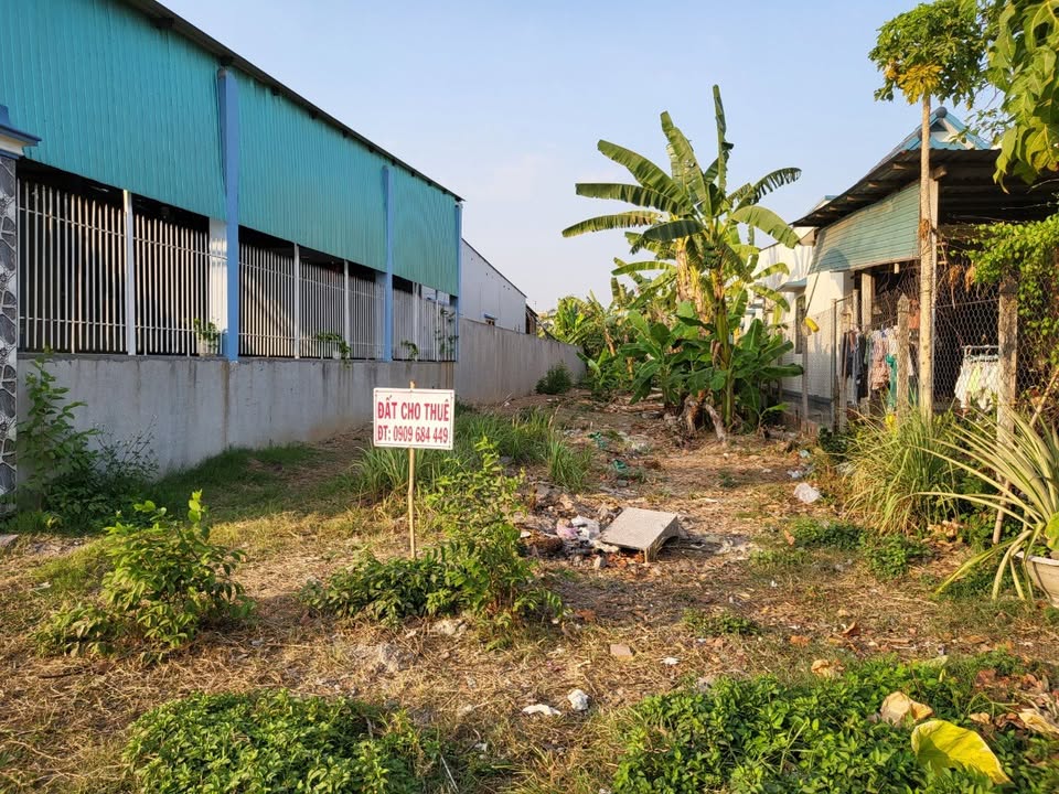 Cho thuê đất mặt tiền kinh doanh 357m² tại Quốc lộ 22, Củ Chi - Tiềm năng phát triển mạnh mẽ!