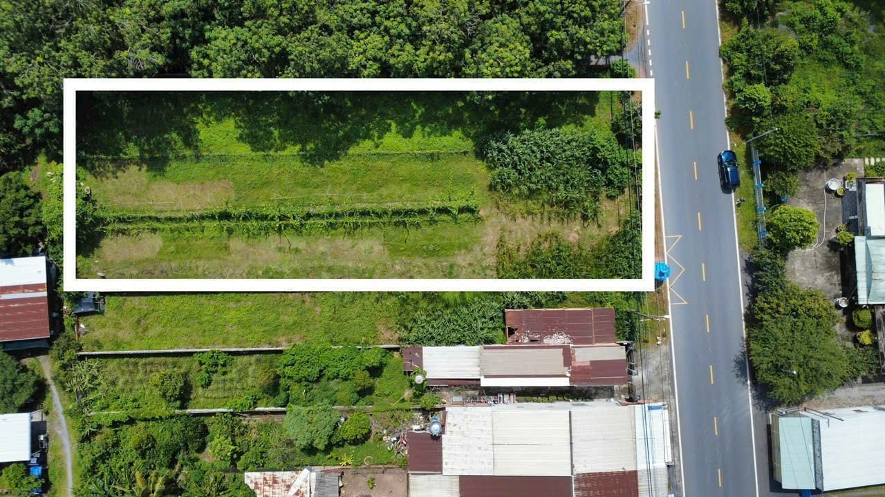 Đất An Nhơn Tây, Củ Chi 1579m² giá 18 tỷ - Đầu tư sinh lời cao!