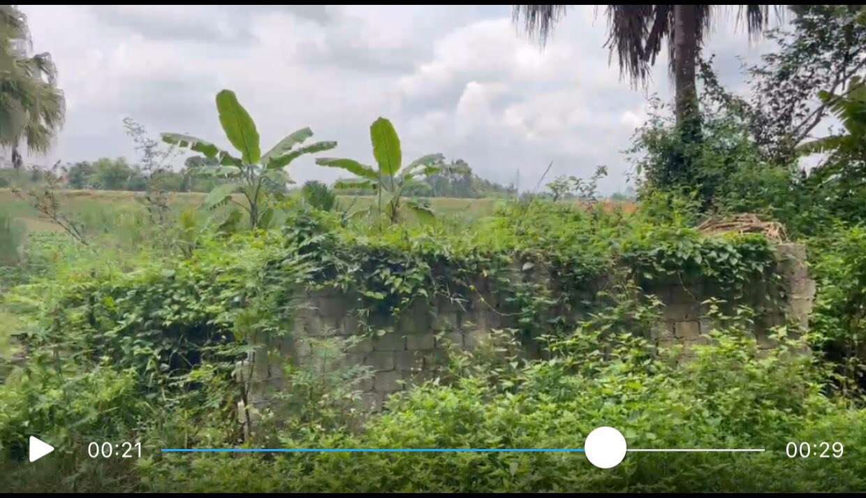 Lô đất đẹp xã Quảng Văn, huyện Quảng Xương, 1157m² giá chỉ 4 tỷ - Cơ hội đầu tư sinh lời!