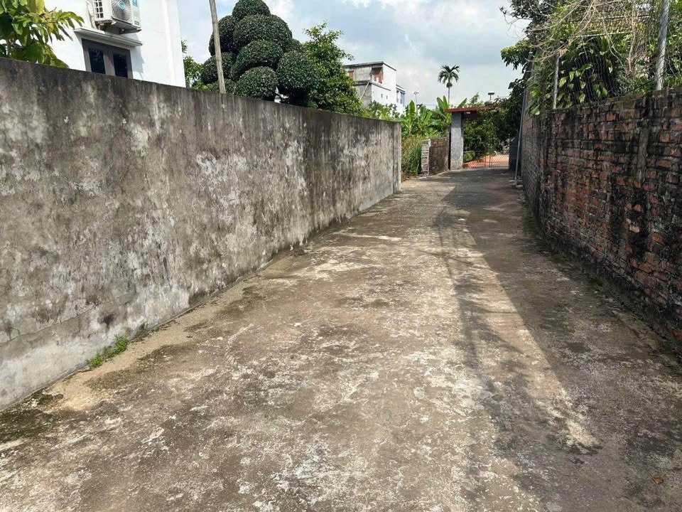 Lô đất Thái Thịnh, Thái Thụy 80m² giá chỉ 300 triệu - Sổ đỏ trao tay!