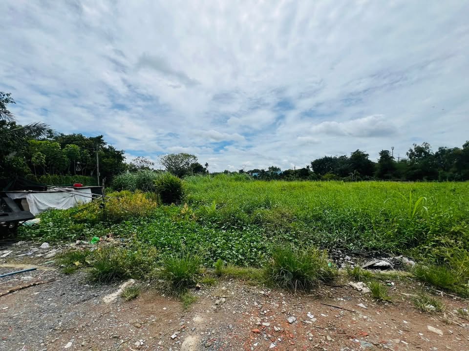 Đất thổ cư 133.5m² xã Bình Mỹ, Củ Chi giá chỉ 1.5 tỷ - Cơ hội đầu tư tuyệt vời!