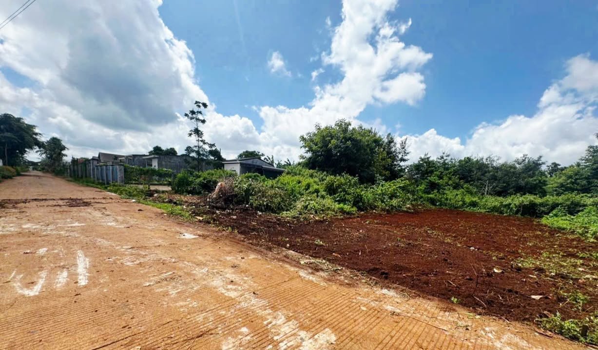 Đất thổ cư Cư Suê 120m² giá 1.139 triệu - Đầu tư sinh lời ngay!