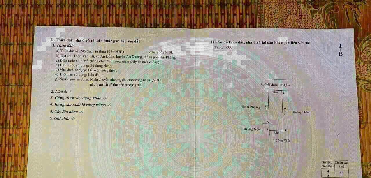 Đất nền An Đồng Hải Phòng 69m² giá 1.65 tỷ - Vị trí đẹp, xây dựng ngay!