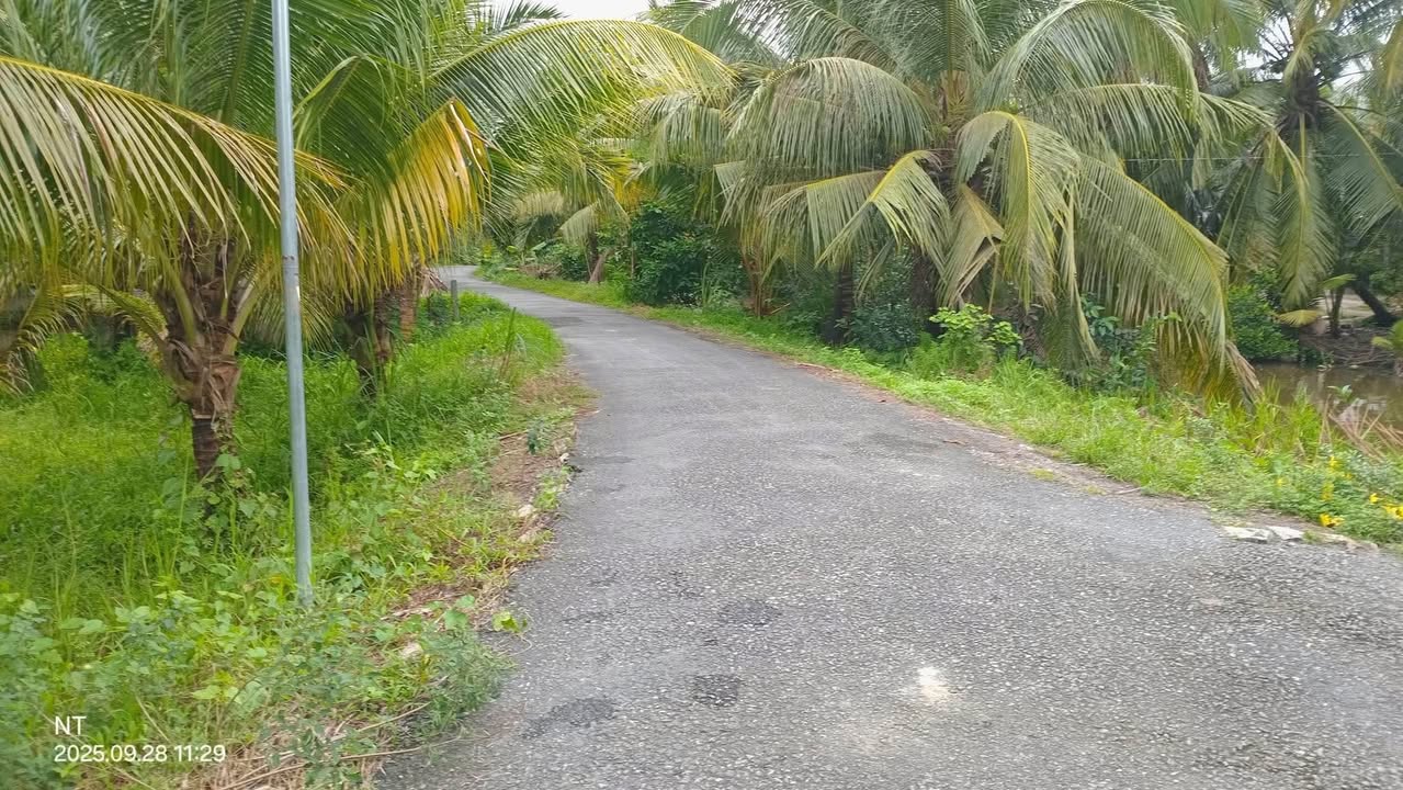 Đất nền Tân Long Hội 900m² giá 1.4 tỷ - Phù hợp đầu tư sinh lời!