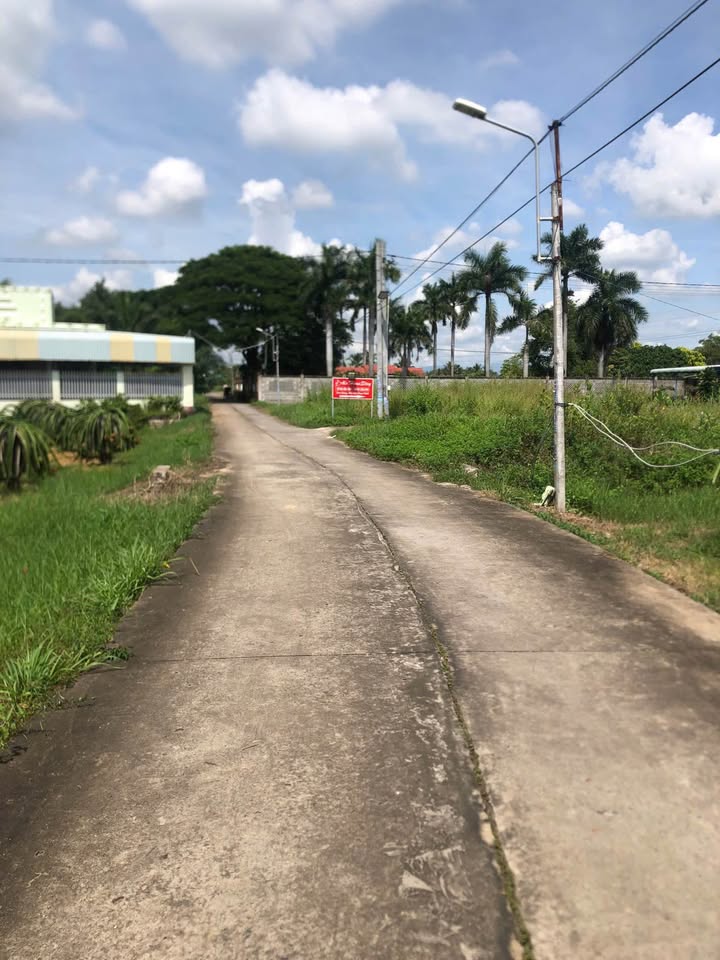 Đất Tiến Hưng, Tiến Lợi, Phan Thiết 1000m² giá 3 tỷ - Khu dân cư yên tĩnh!