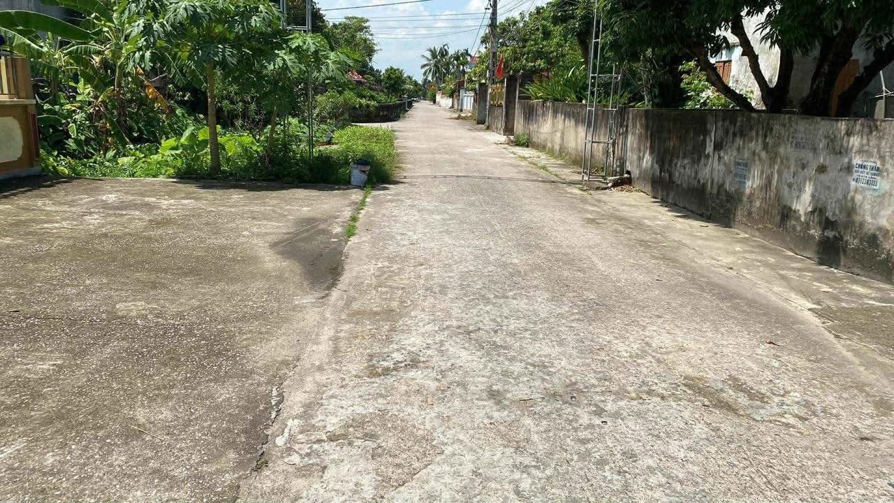 Đất nền thôn Đông Tân Ninh, xã Vĩnh Lại, Hải Phòng 100m² - Giá chỉ 900 triệu!
