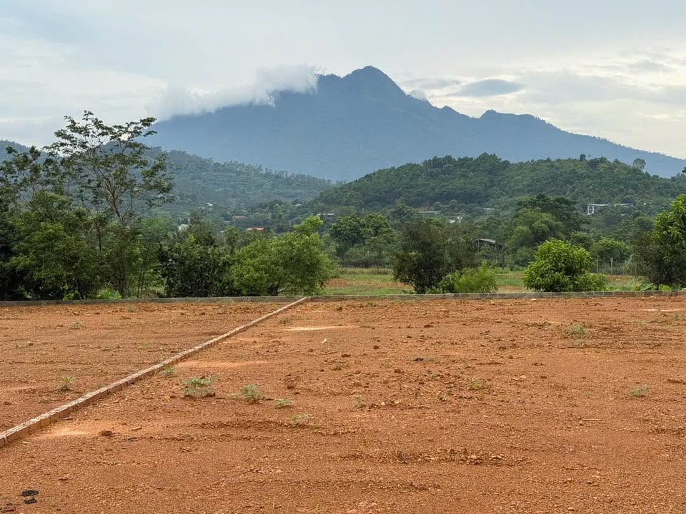 Đất nền Yên Bài, Ba Vì 300m² giá 3 tỷ - View núi tuyệt đẹp!